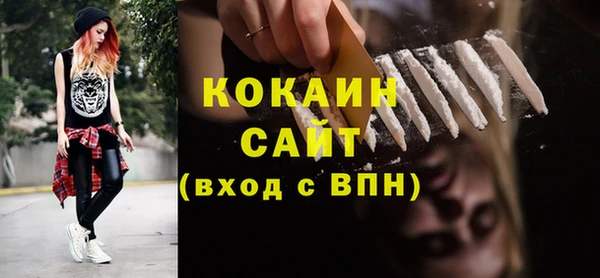ешки Бородино