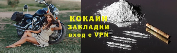 ешки Бородино