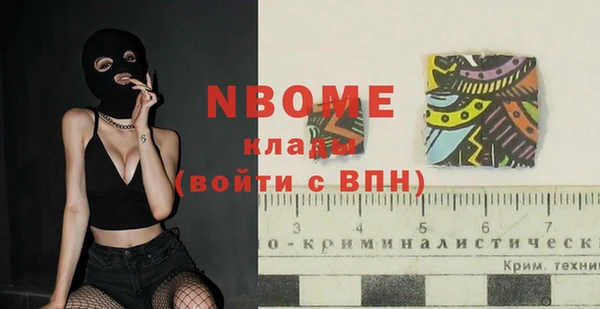 ешки Бородино
