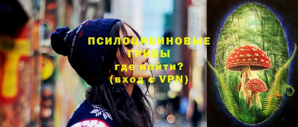 ешки Бородино