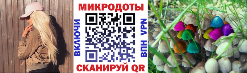 Галлюциногенные грибы Cubensis Новохопёрск